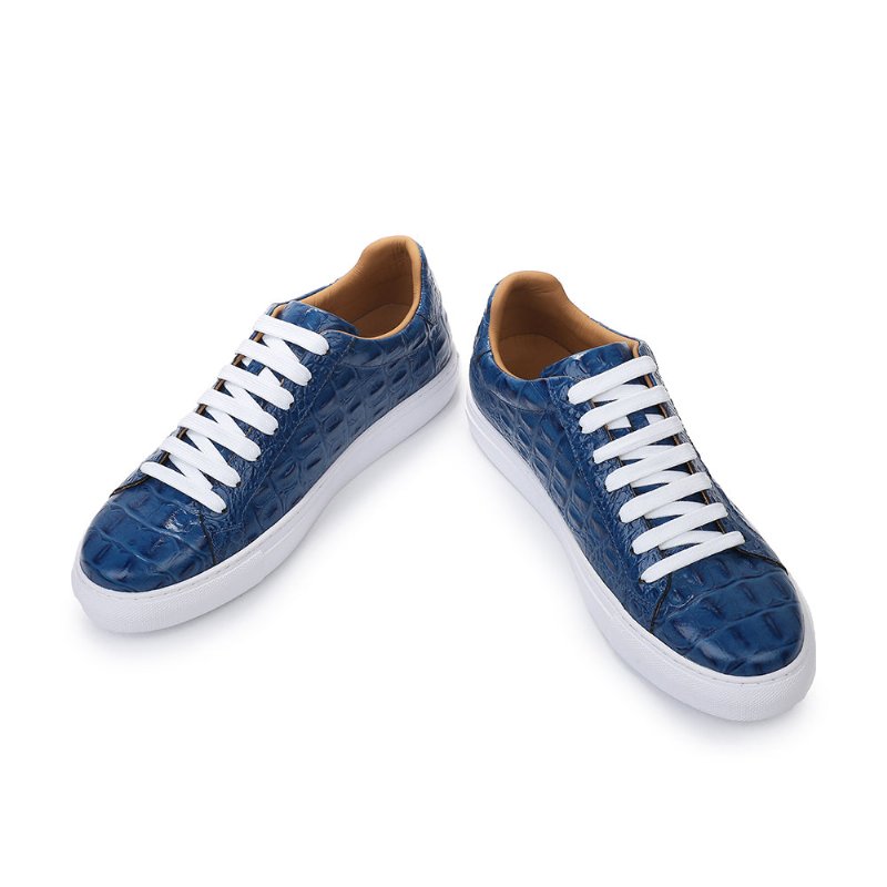 Vrijetijdsschoenen Heren Exotische Veterschoenen - Blauw