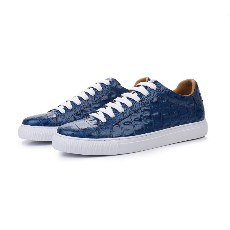 Vrijetijdsschoenen Heren Exotische Veterschoenen - Blauw